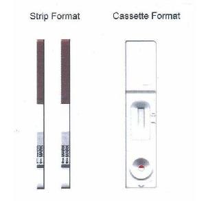 step alpha fetoprotein test  afp