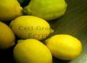 Ceti Lemon Offer