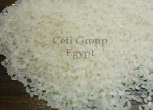 egyptian camolino rice