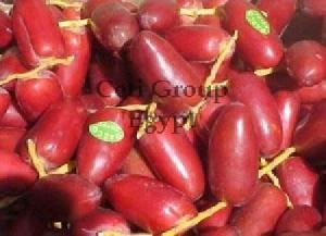 Fresh Red Date Offer