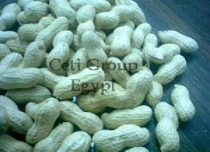 In Shell Peanut Offer