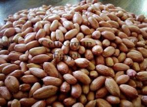 Shelled Peanut Offer