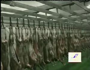 Sheep Slaughter And Abattoir Equipment Production Line In China