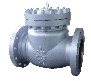 Cast Steel Check Valve