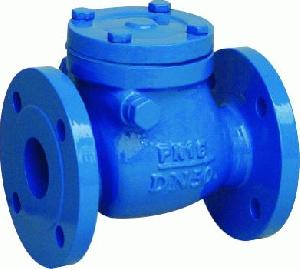 Din F6 Cast Iron Swing Check Valves