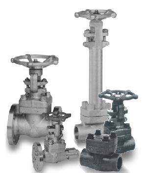 Forged Gatevalves / Globe Valves