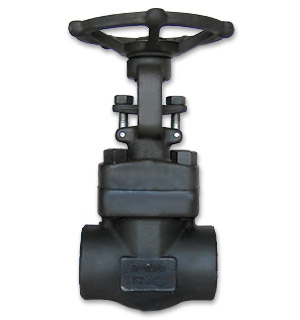 Forged Steel Globe Valve