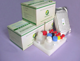 ampicillin elisa test kit