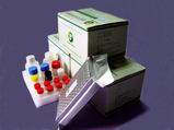 benzyl penicillin elisa test kit