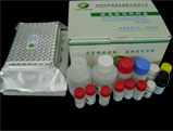 Chloramphenicol Cap Elisa Test Kit