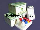 Clenbuterol Elisa Test Kit