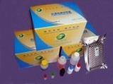 pseudorabies virus ge antibody elisa test kit