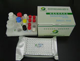 Ractopamine Elisa Test Kit