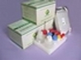 Salbutamal Elisa Test Kit