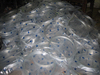 Hot Dipped Galvanized Steel Coil