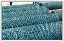 Plastic Coated Hexagonal Wire Mesh For Sale