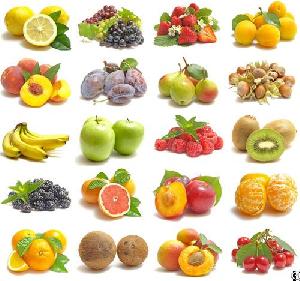 Fresh Fruit