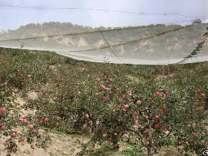 Agriculture Products Insect Net
