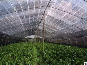 Agriculture Shade Net