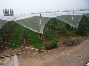 hdpe agriculture apple tree anti hail plantations