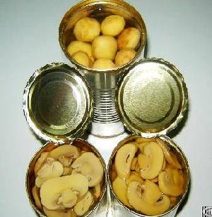 Canned Champignon From Viet Nam