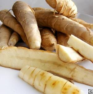 arrowroot