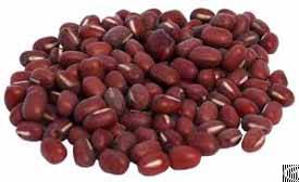 Red Bean From Vietnam