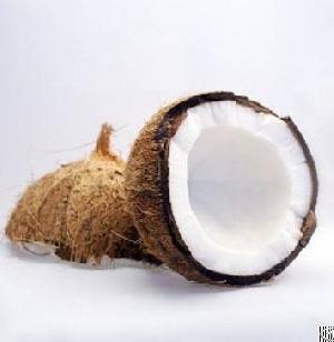 Selling Mature Coconut