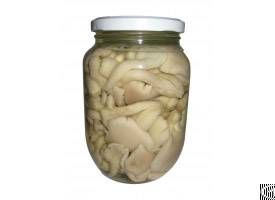White Oyster Mushroom From Viet Nam