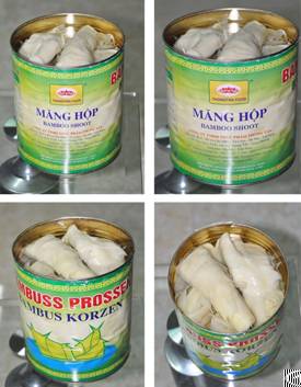 Whole Bamboo Shoots In Can From Viet Nam