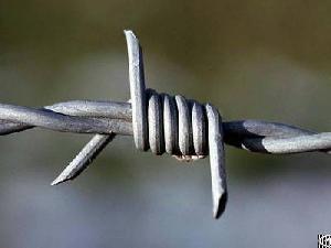 barbed wire