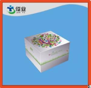 White And Green Cosmetics Box With Flower Trees