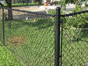 Chain Link Security Fence