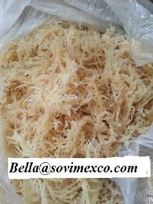 eucheuma ecottonii seaweed viet nam