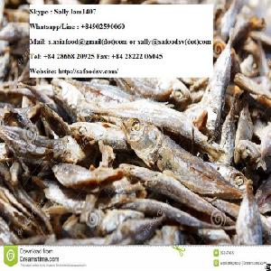 dried mackerel fish