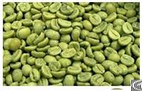 Green Coffee Bean Extract