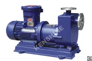 Zcq Self Priming Magnet Pump Stainless Steel Electromagnetic Pump