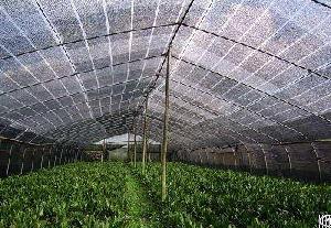 agricultural sun shade