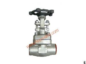 Sw Ends Forged Steel Globe Valve, Forged Stainless Steel Globe Valve Class 800 Socket Welded