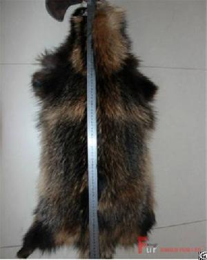 Raccoon Fur Skin