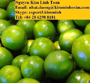 Fresh Calamansi Fruit