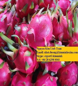 Fresh Dragon Fruit Red Flesh / White Flesh