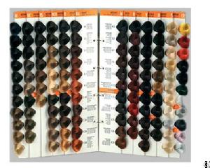 Customized Hair Color Chart