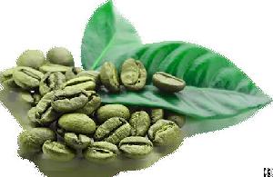 green coffee bean