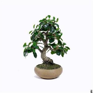 Artificial Ficus Microcarpa