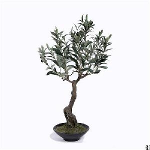 Plastic Olive Tree In Pots