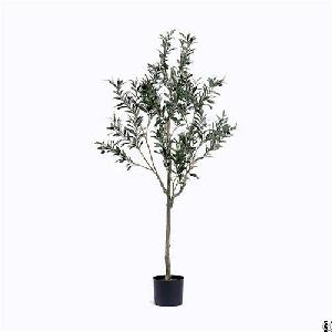 Silk Single Trunk Olive Tree