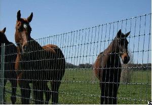 field fence