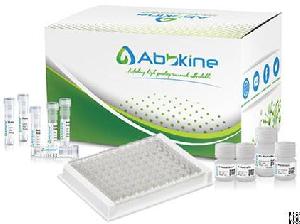 A New Generation Of Elikine Elisa Kits