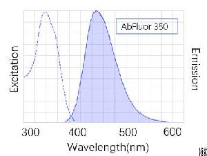 anti gapdh mouse monoclonal antibody 2b5 abfluor 350 conjugated